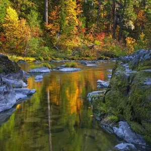 North Umpqua in Umpqua National Forest, Oregon, USA North Umpqua in Umpqua National Forest, Oregon, USA