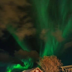The northern light over red cabin in Lofoten, Norway