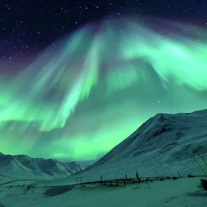 Northern Lights Northern Lights