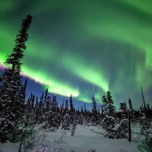 Northern Lights Over Alaska Northern Lights Over Alaska