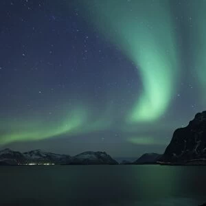 Northern Lights, Aurora Borealis, in winter, Hovsund, Hov, Lofoten, Lofoten, Nordland, Norway