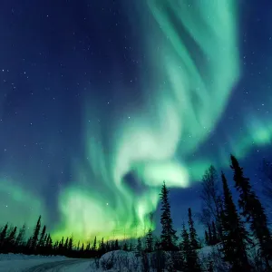 Northern Lights Print: Aurora Borealis over Yellowknife Northern Lights Print: Aurora Borealis over Yellowknife