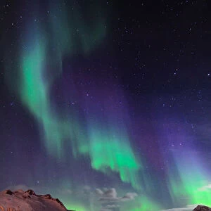 Northern Lights in Ersfjordbotn