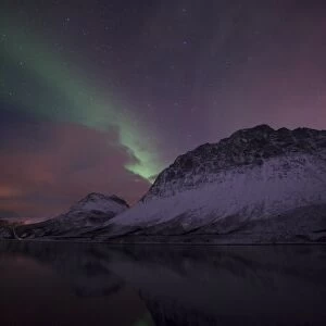 Northern Lights over the Grotfjord in winter, Kvaloya, Tromso, Norway, Europe