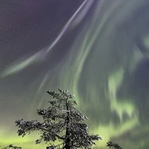 Northern lights Levi Sirkka KittilAÔé¼ Lapland Finland