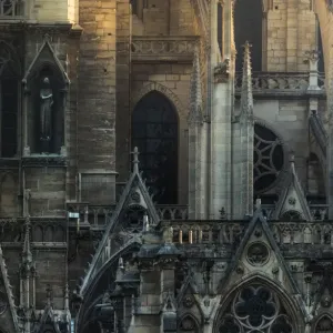 Notre dame architecture detail Notre dame architecture detail