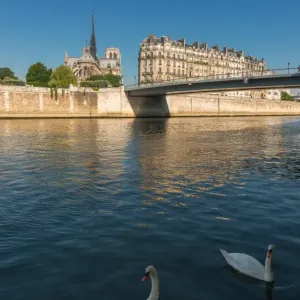 Notre Dame Cathedral, Paris, France Notre Dame Cathedral, Paris, France