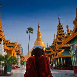 A novice and Shwedagon Pagoda
