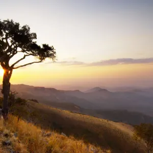 Nyika Plateau, Malawi