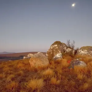 Nyika Plateau Print at Dusk Under Full Moon Nyika Plateau Print at Dusk Under Full Moon
