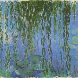 Nymphéas Avec Rameaux De Saule Nymphéas Avec Rameaux De Saule