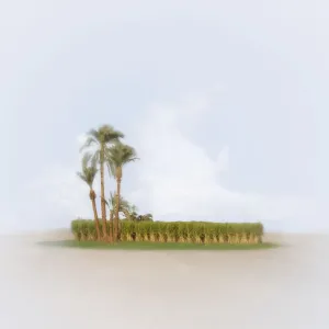 Oasis Print in Desert Landscape Oasis Print in Desert Landscape