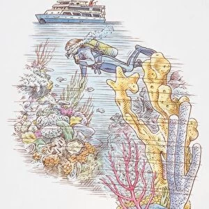 Ocean diver in colourful underwater landscape, passenger boat passing by overhead