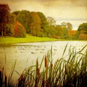 Images Dated 2010 October: 22 Oct 2010