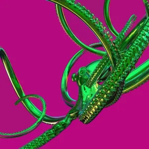 Octopus Octopus