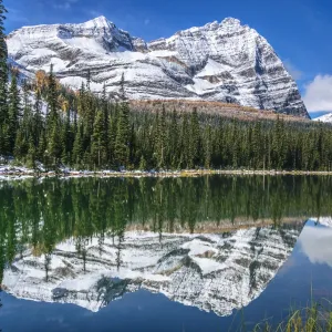 Odaray Mountain & Mary Lake, Lake O Hara, Yoho National Park, British Columbia, Canada