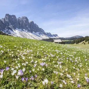 Odle Funes Valley Dolomites Italy Print Odle Funes Valley Dolomites Italy Print