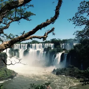 Iguazu Falls Jungle View Print Iguazu Falls Jungle View Print