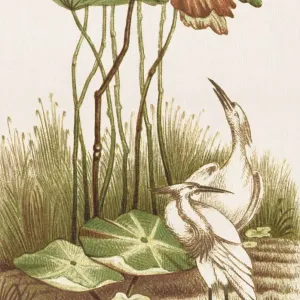 Old Chinese Painting Old Chinese Painting