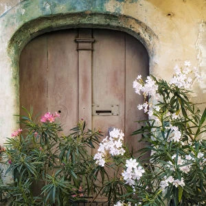 Old door, flowers, Bonnieux in Provence, France