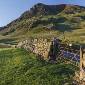 Old Dry Stone Wall Print, Lake District Landscape Old Dry Stone Wall Print, Lake District Landscape