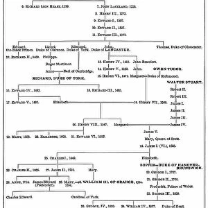 Old engraved diagram of the English monarchs family tree (1087 to 1899)
