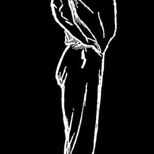 Old engraved illustration of Hygienic Gymnastics, healthy lifestyle - leg, body and arm exercises