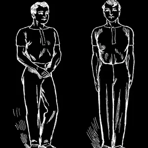 Old engraved illustration of Hygienic Gymnastics, healthy lifestyle - leg, body and arm exercises