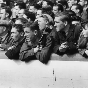 Old Firm Fans Old Firm Fans