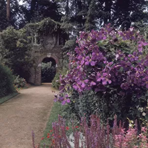 Old Garden