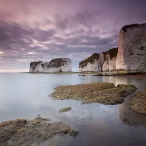 Old harry rocks