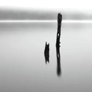 Old posts standing in misty loch Scotland Old posts standing in misty loch Scotland