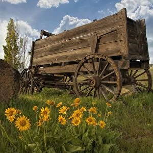 Old Wagon at Dalles Mountain Ranch