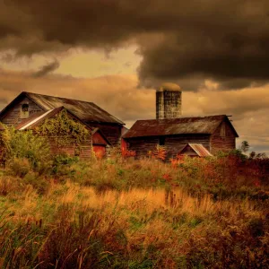 Old wooden barns in New York