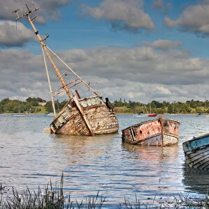 Three Old Wrecks, Pin Mill, Suffolk