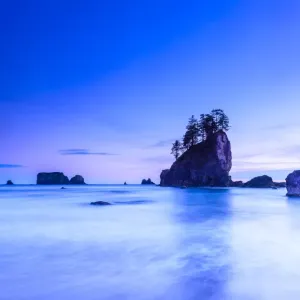 Olympic National Park coastline