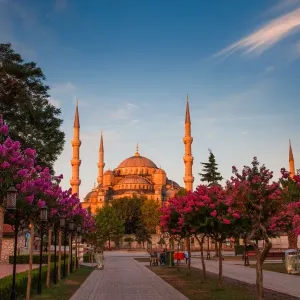 Orange Blue mosque Orange Blue mosque