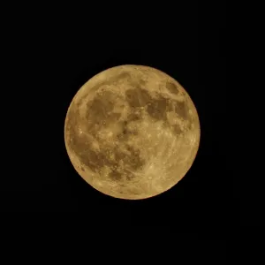 Orange Harvest Moon