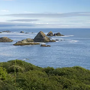 Oregon coast and offshore rocks