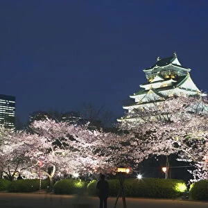 Osaka Castle and cherry blossoms in the night, long exposure, Osaka city
