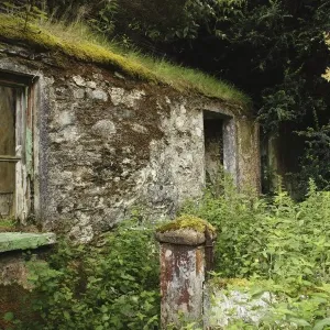 overgrown: CB2, empty: CB2, tree: CB2, disrepair: CB1, county: CB2, bush: CB2, roof: CB2 overgrown: CB2, empty: CB2, tree: CB2, disrepair: CB1, county: CB2, bush: CB2, roof: CB2