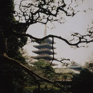 Pagoda Near Trees Pagoda Near Trees