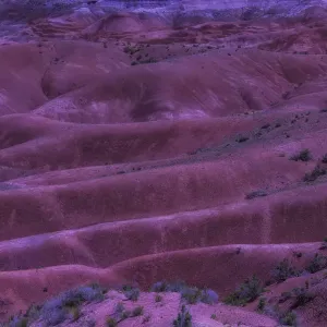 Painted Desert Azorina Painted Desert Azorina