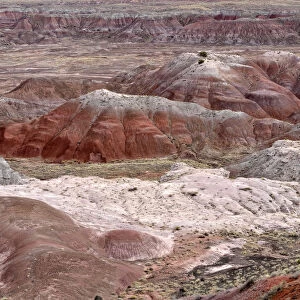 Painted Desert, hills, desert landscape, view from Tawa Point, Painted Desert, Holbrook, Arizona, United States