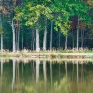 Painted nature Painted nature