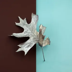 Painted silver oak leaf on brown and blue color blocked background Painted silver oak leaf on brown and blue color blocked background