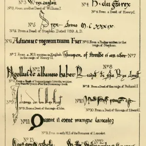 Print of 11th to 13th century Palaeography handwriting specimens