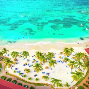 Palm-fringed beach from above, Caribbean Sea Palm-fringed beach from above, Caribbean Sea