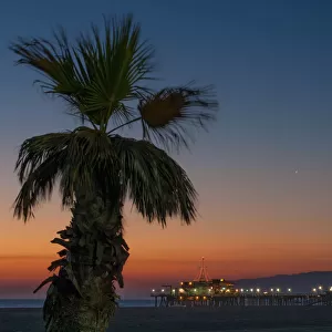 Palm tree on beach at sunset