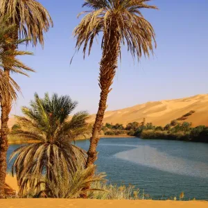 Palm trees on the shore of the Um el Maa lake in the Ubari Sand Sea, Sahara, Libya Palm trees on the shore of the Um el Maa lake in the Ubari Sand Sea, Sahara, Libya